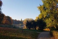 Ścieżka