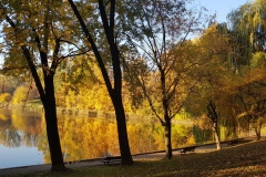 Ścieżka