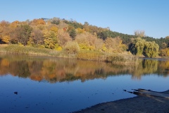 Wyciąg