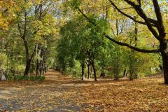 Park w Białymstoku