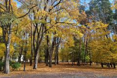 Park w Białymstoku