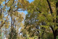 Park w Białymstoku