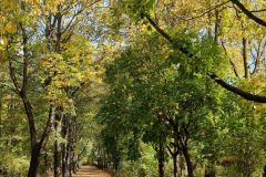 Park w Białymstoku