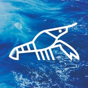 Read more about the article Langusta na palmie