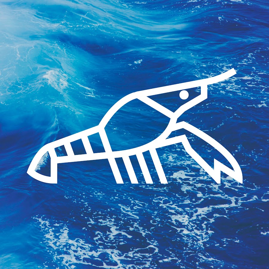 You are currently viewing Langusta na palmie